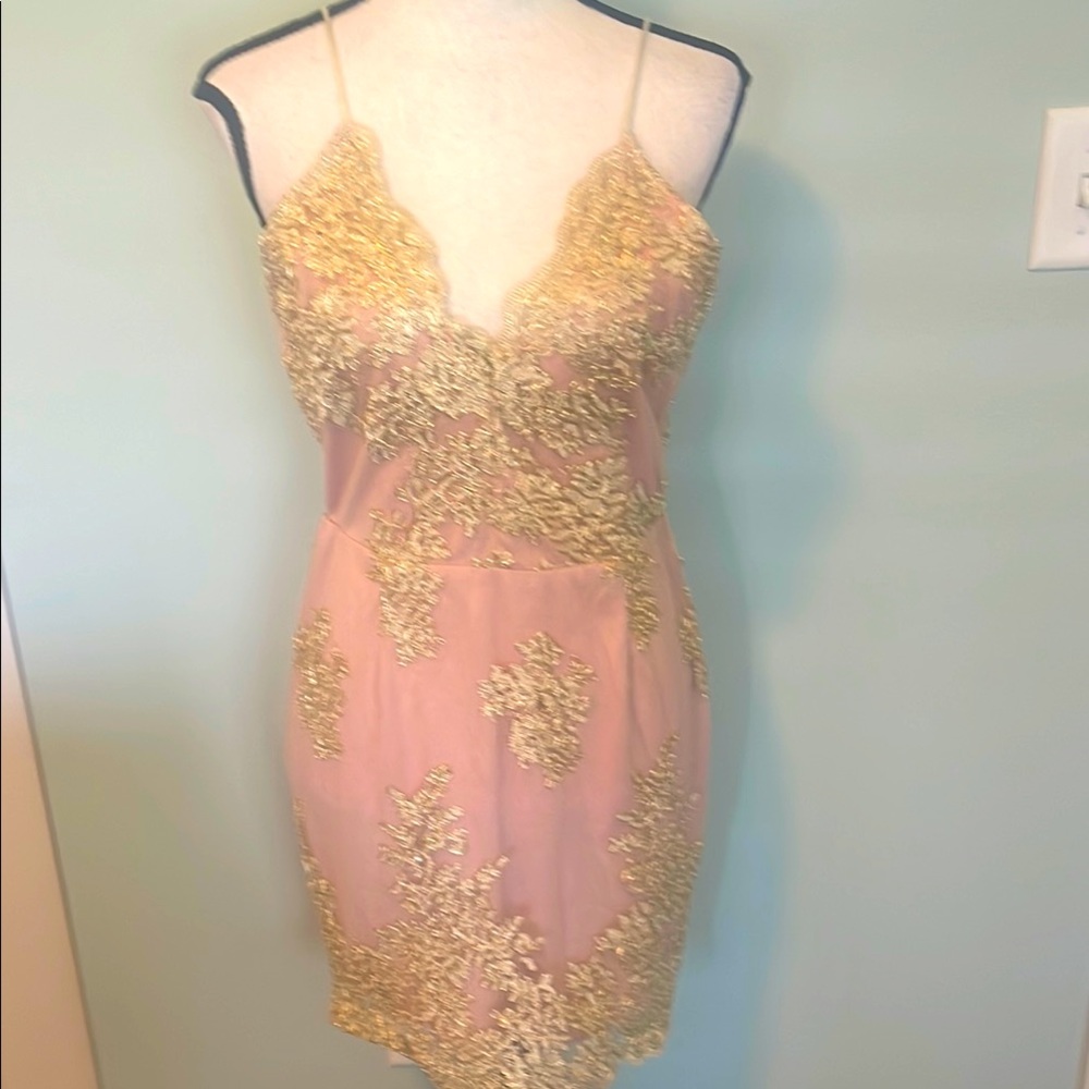 Love & Other Things NWT Elegant Gold and Pink Lace Dress